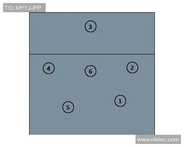北京排球队的战术演变与球员角色转换深度解析 北京排球队的战术演变与球员角色转换深度解析