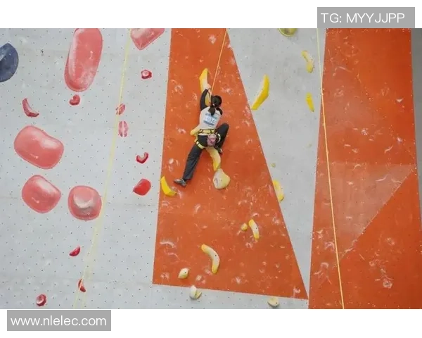 南京滑板队在攀岩联赛中以60分稳居积分榜首位展现强劲实力