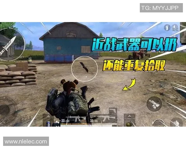 和平精英精彩瞬间揭秘：深入了解JDG团队协作的秘密与策略