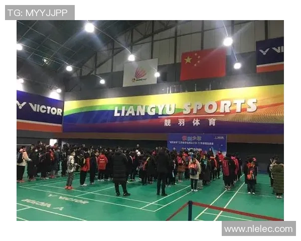 南京羽毛球队运营策略深度分析与成功经验分享 南京羽毛球队运营策略深度分析与成功经验分享