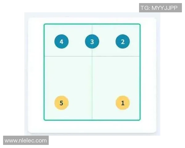 广州排球队的控制打法深度分析与战术解析