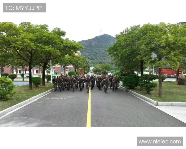 攀岩纪实：见证杭州攀岩队从传统到现代的蜕变与成长之路